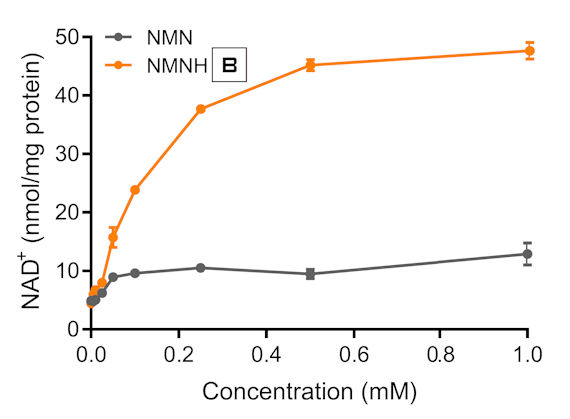 NMNH (amorphe) vs. NMN